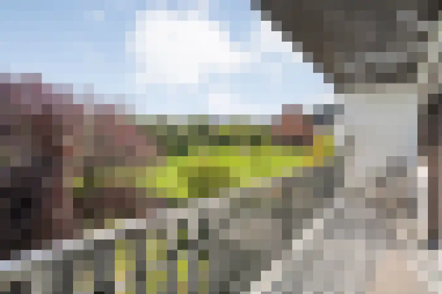 5 Meilaan 5 Zoeterwoude thumbnail 77