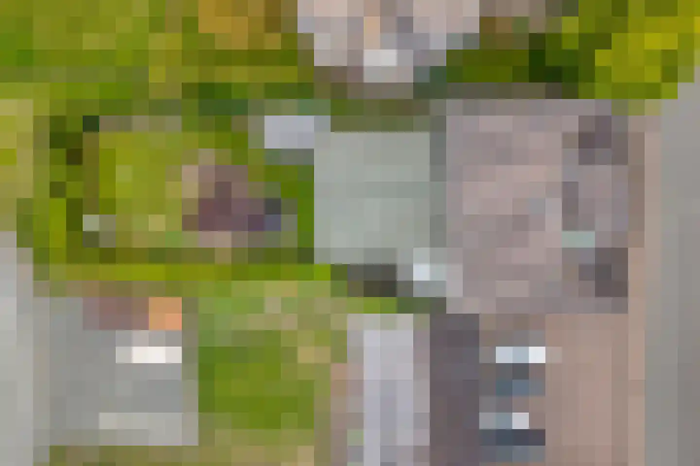 5 Meilaan 5 Zoeterwoude thumbnail 8