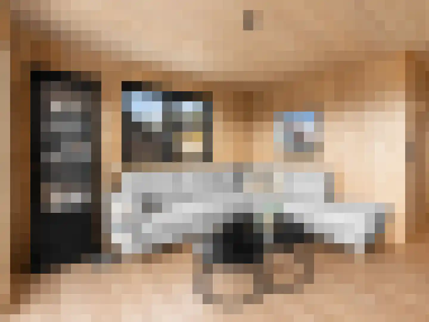 5 Meilaan 5 Zoeterwoude thumbnail 8