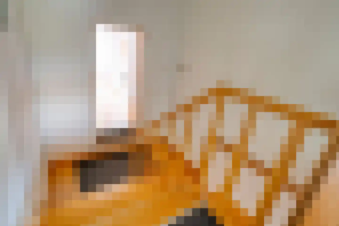5 Meilaan 5 Zoeterwoude thumbnail 86