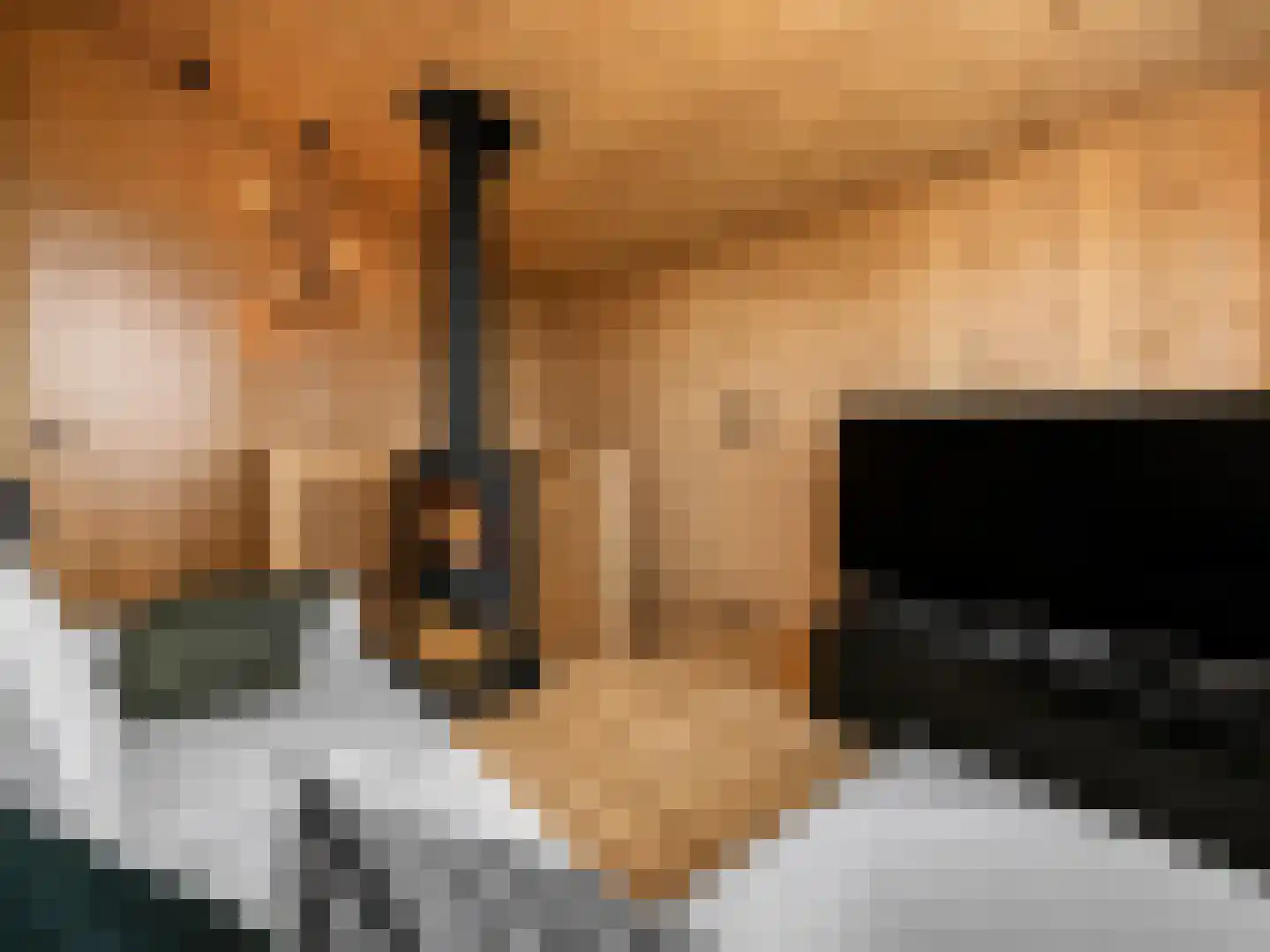 5 Meilaan 5 Zoeterwoude thumbnail 9