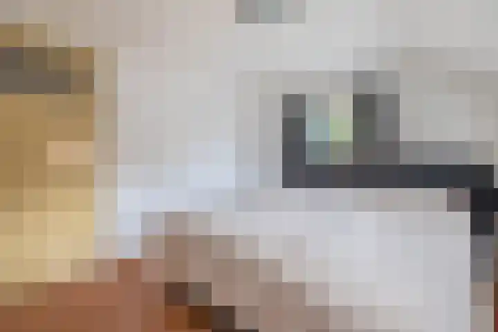 54e laan 2 Wildervank thumbnail 23