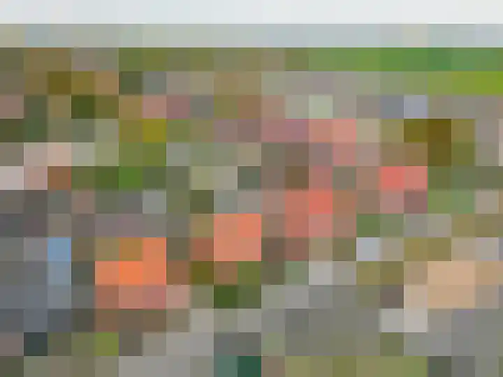 54e laan 2 Wildervank thumbnail 37