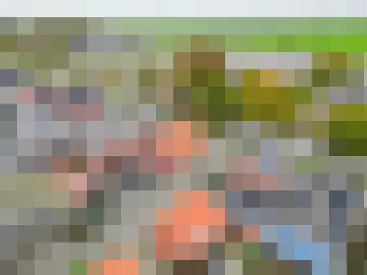 54e laan 2 Wildervank thumbnail 38