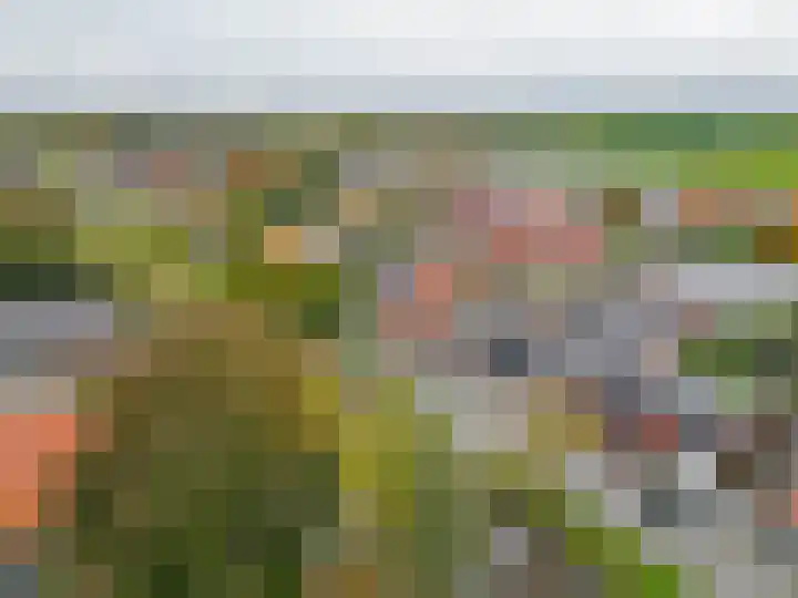 54e laan 2 Wildervank thumbnail 39