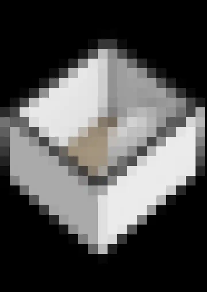 54e laan 2 Wildervank thumbnail 47