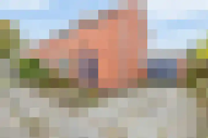 54e laan 2 Wildervank thumbnail 7