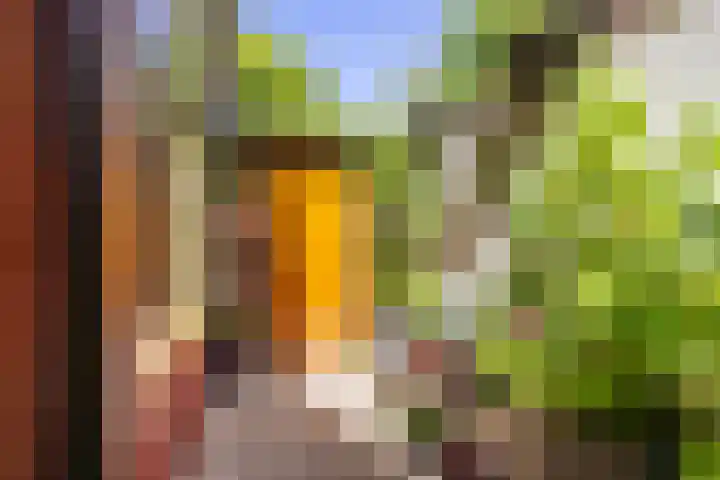 5e Binnenvestgracht 1 Leiden thumbnail 29