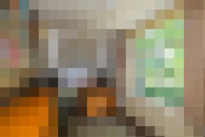 5e Binnenvestgracht 1 Leiden thumbnail 45