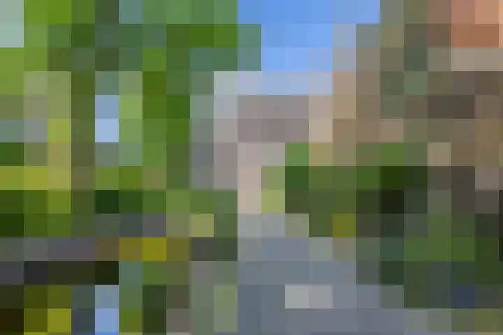 5e Binnenvestgracht 1 Leiden thumbnail 5