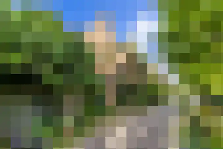 5e Binnenvestgracht 1 Leiden thumbnail 6