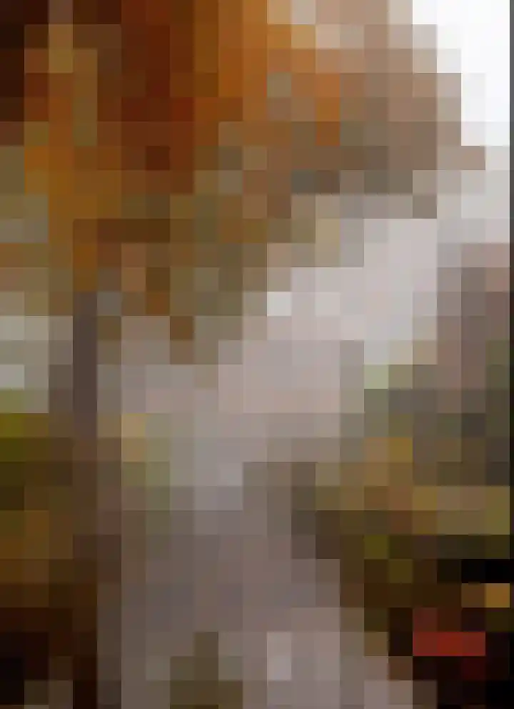 5e Binnenvestgracht 1 Leiden thumbnail 64