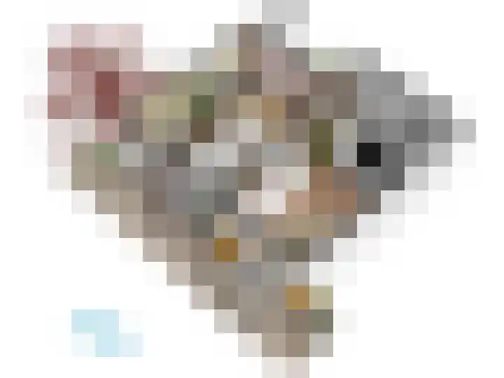 5e Binnenvestgracht 1 Leiden thumbnail 71