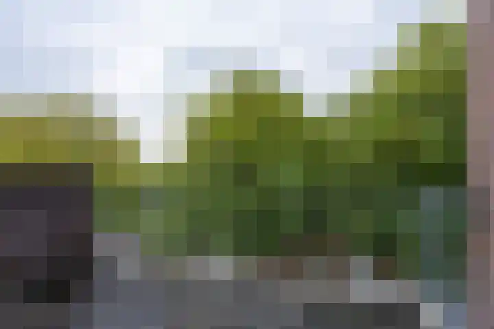 5e laan 2 31 Wildervank thumbnail 10
