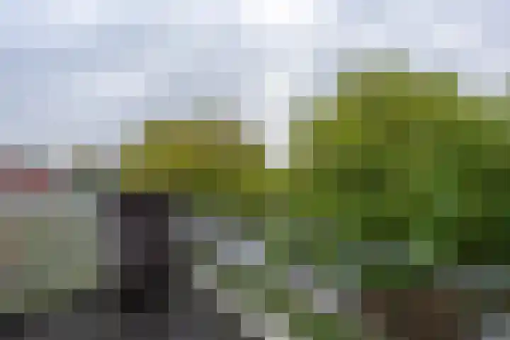 5e laan 2 31 Wildervank thumbnail 11