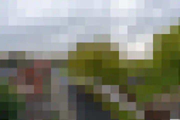 5e laan 2 31 Wildervank thumbnail 12