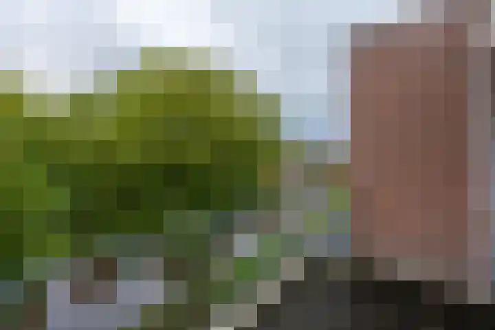 5e laan 2 31 Wildervank thumbnail 13