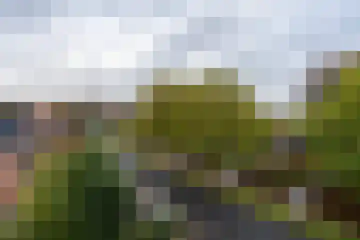 5e laan 2 31 Wildervank thumbnail 23