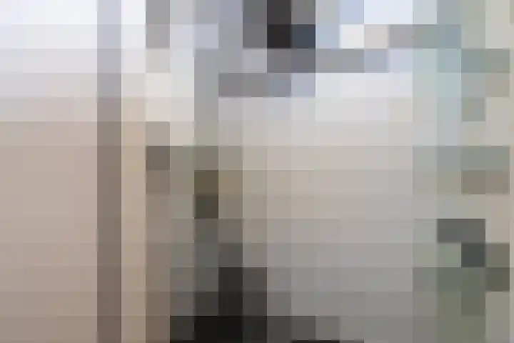 5e laan 2 31 Wildervank thumbnail 28