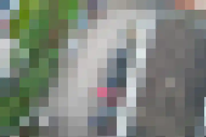 5e laan 2 31 Wildervank thumbnail 35