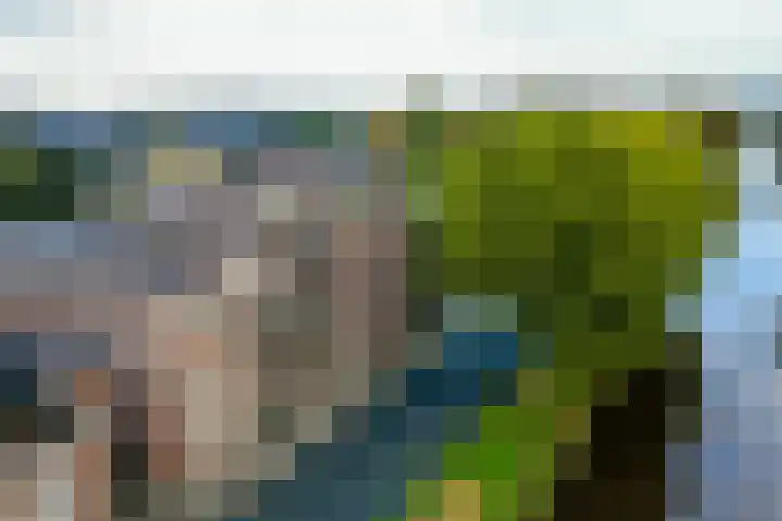 5e laan 2 31 Wildervank thumbnail 37
