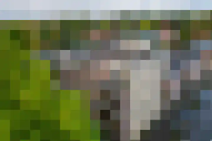 5e laan 2 31 Wildervank thumbnail 38
