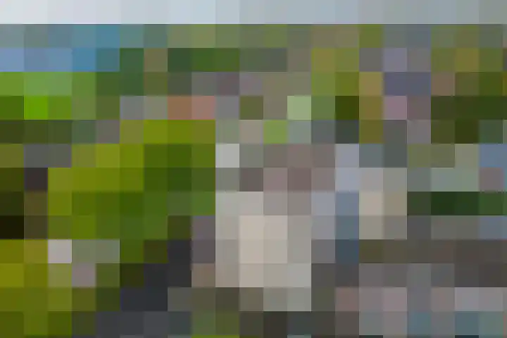 5e laan 2 31 Wildervank thumbnail 41