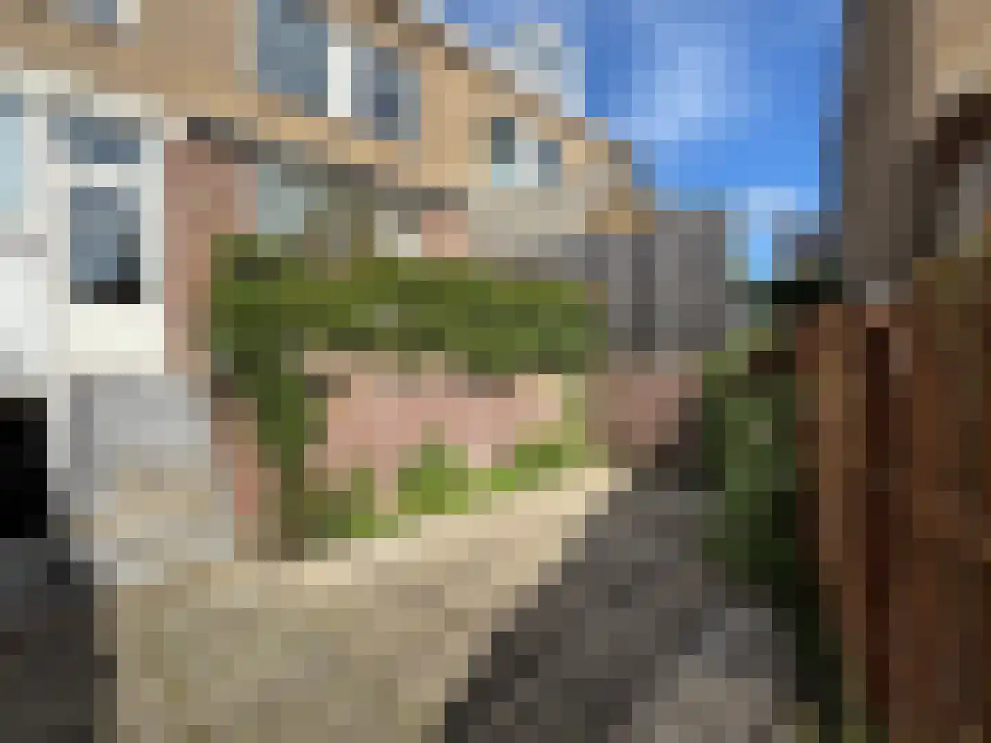 5e Meistraat 10 Maastricht thumbnail 23