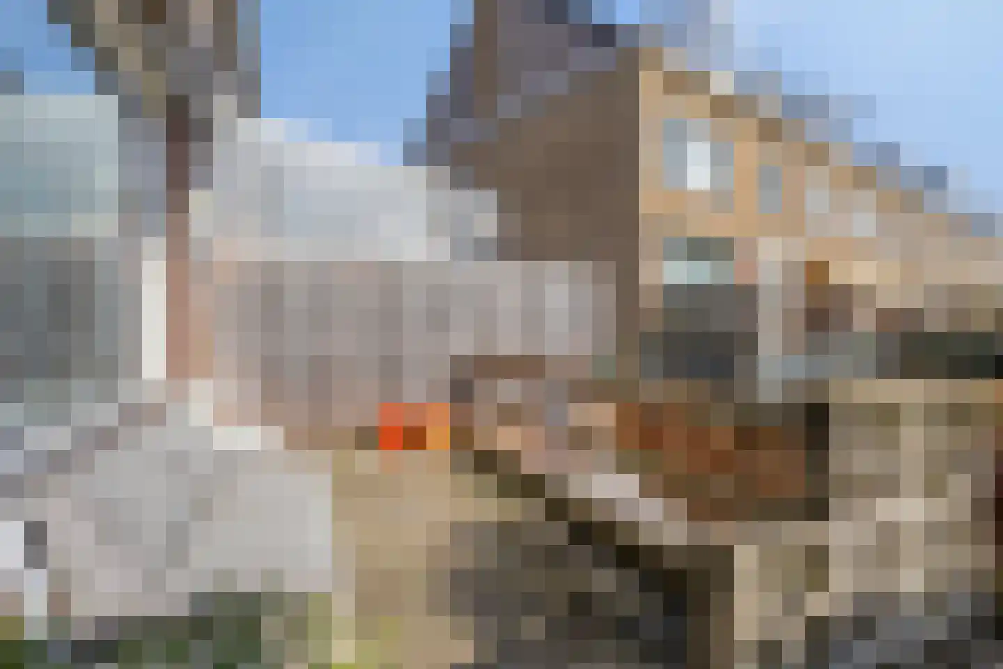 5e Meistraat 10 Maastricht thumbnail 25