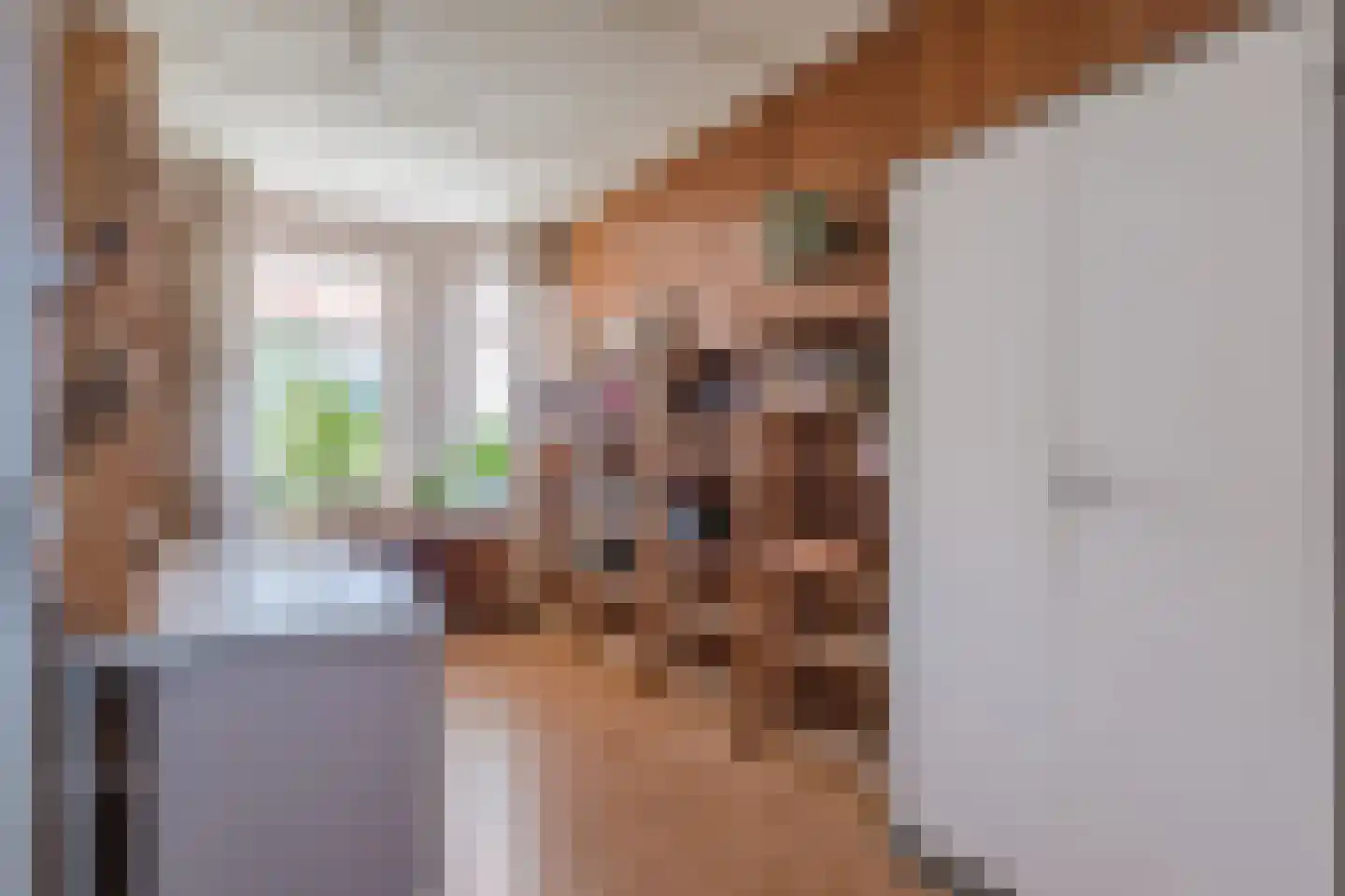 60e laan 1 Wildervank thumbnail 18