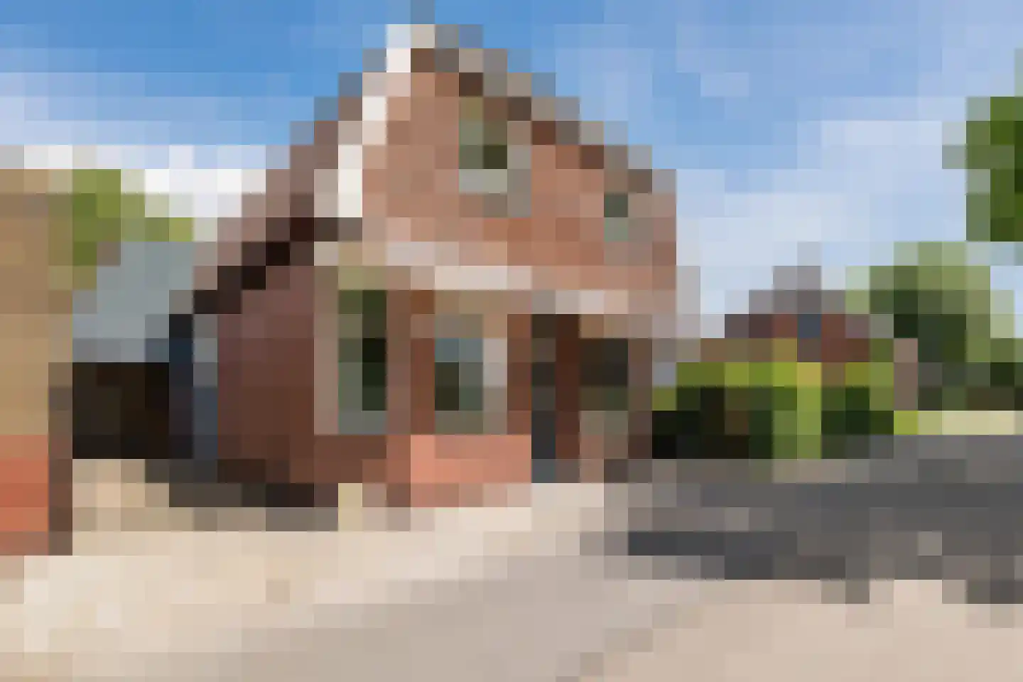 60e laan 1 Wildervank foto 2