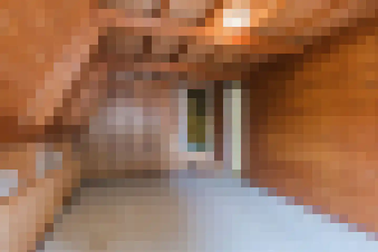 60e laan 1 Wildervank thumbnail 30