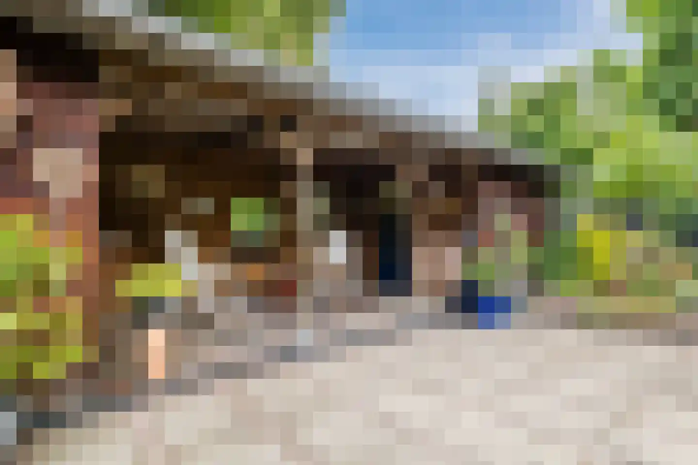 60e laan 1 Wildervank thumbnail 35