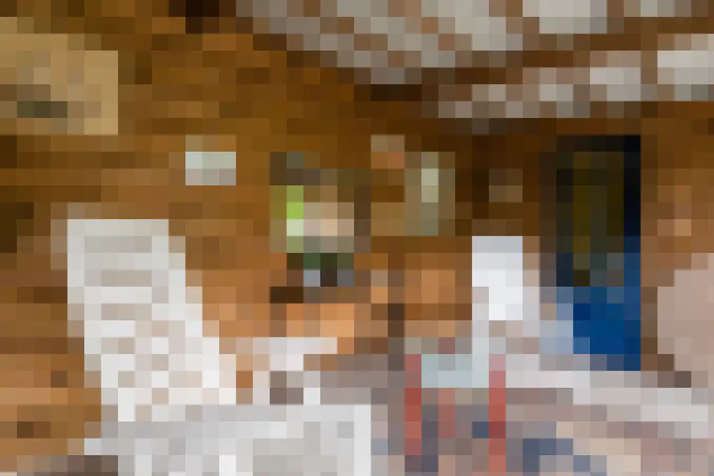 60e laan 1 Wildervank thumbnail 36