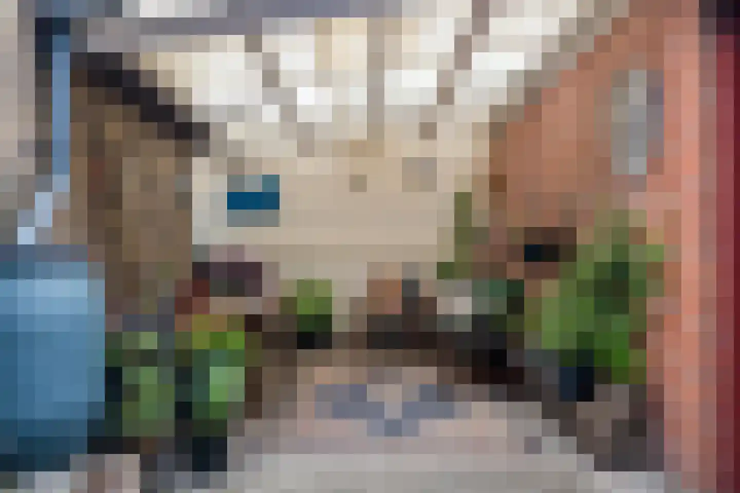 60e laan 1 Wildervank thumbnail 40