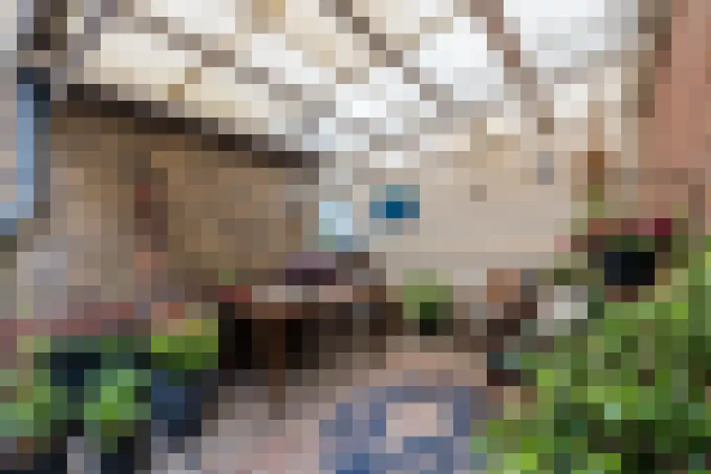 60e laan 1 Wildervank thumbnail 41