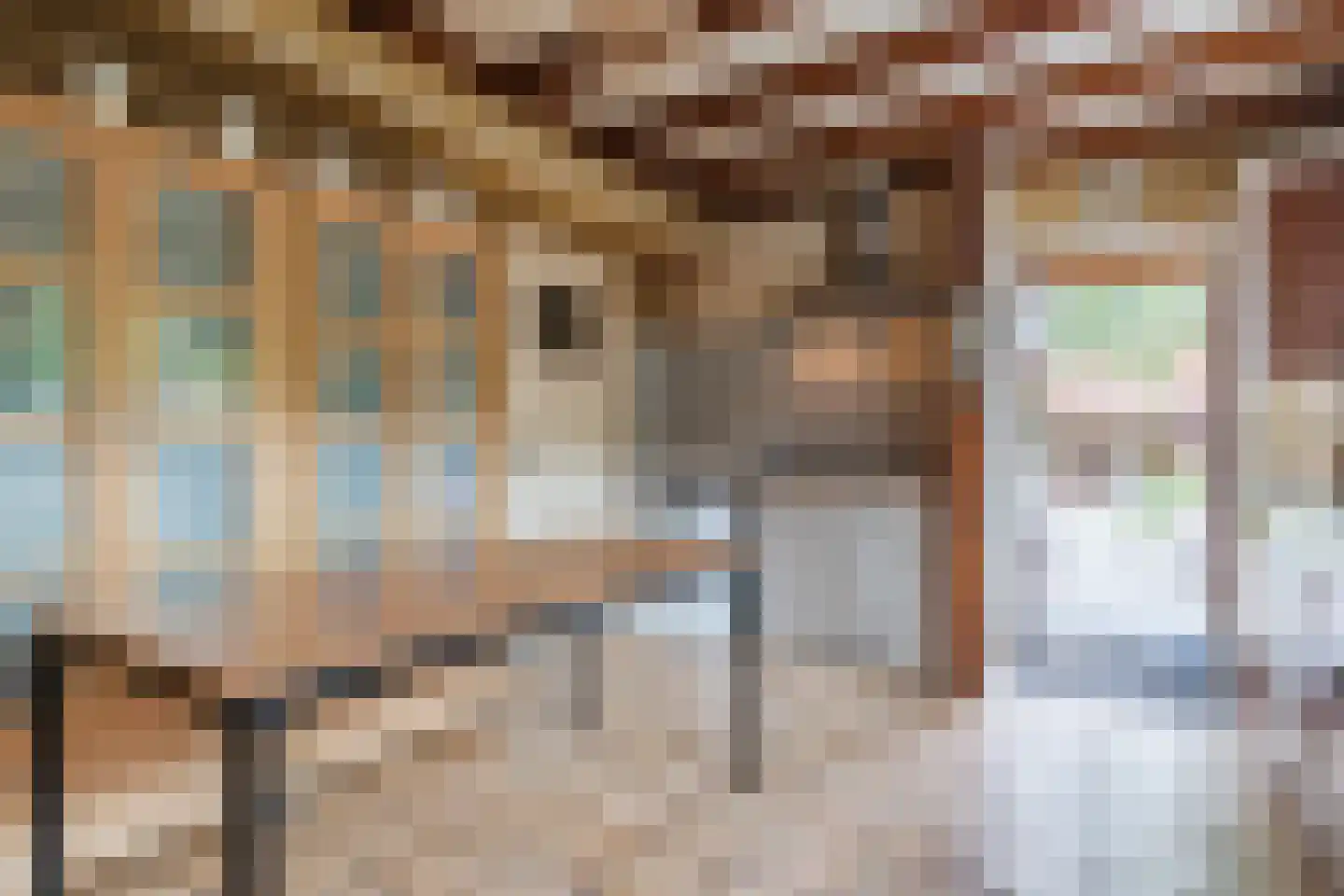 60e laan 1 Wildervank thumbnail 8