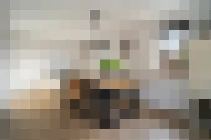 60e laan 5 Wildervank thumbnail 10