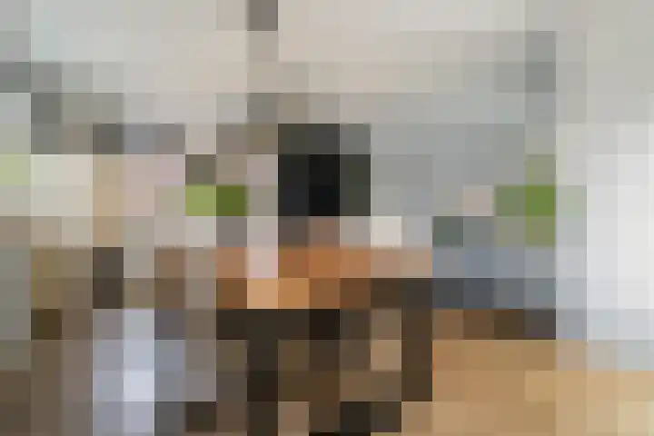 60e laan 5 Wildervank thumbnail 12