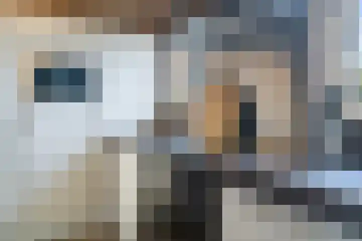 60e laan 5 Wildervank thumbnail 15