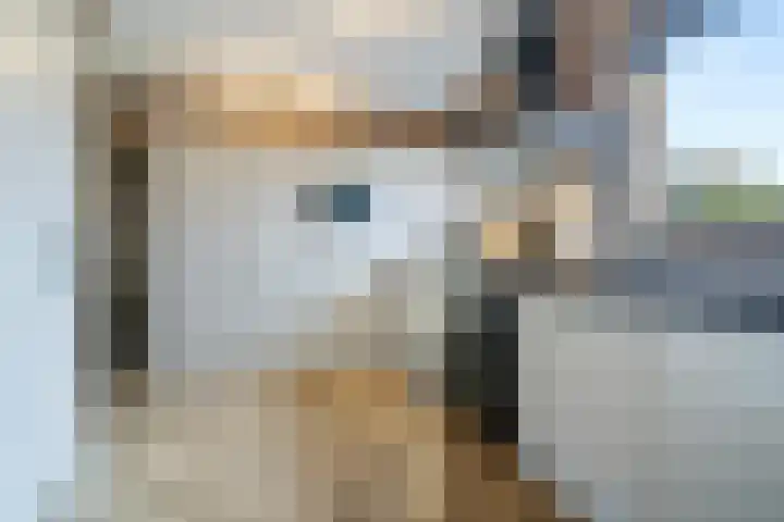 60e laan 5 Wildervank foto 2