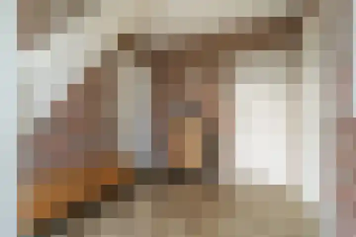 60e laan 5 Wildervank thumbnail 21