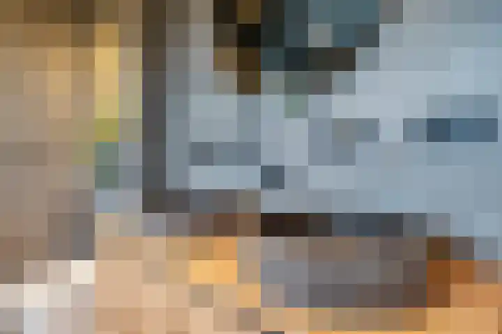 60e laan 5 Wildervank thumbnail 29