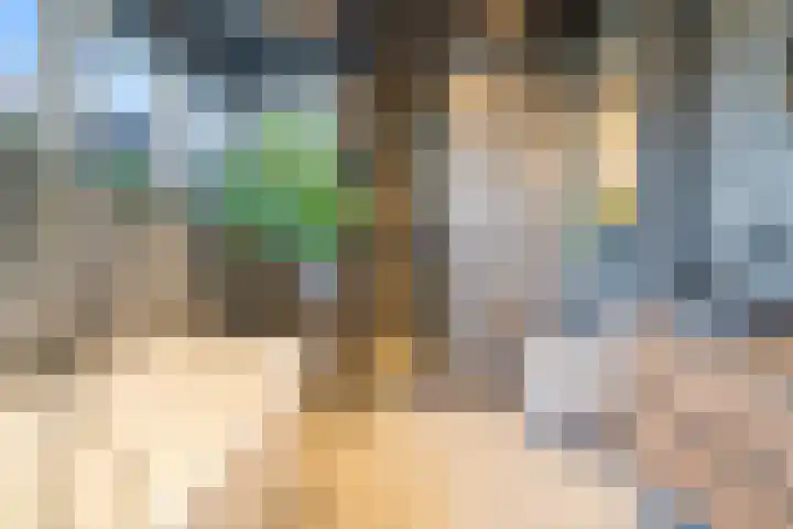 60e laan 5 Wildervank foto 3