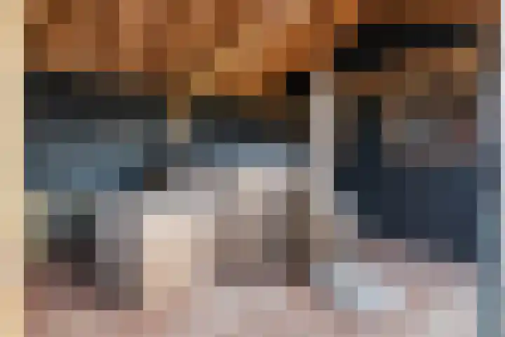 60e laan 5 Wildervank thumbnail 39