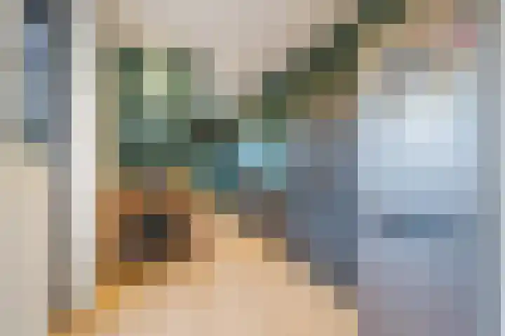 60e laan 5 Wildervank thumbnail 44