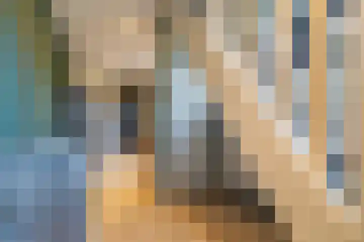 60e laan 5 Wildervank thumbnail 45