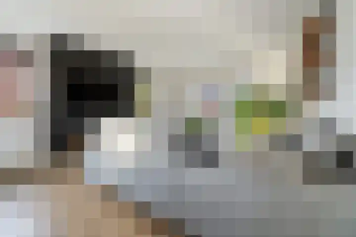60e laan 5 Wildervank thumbnail 7