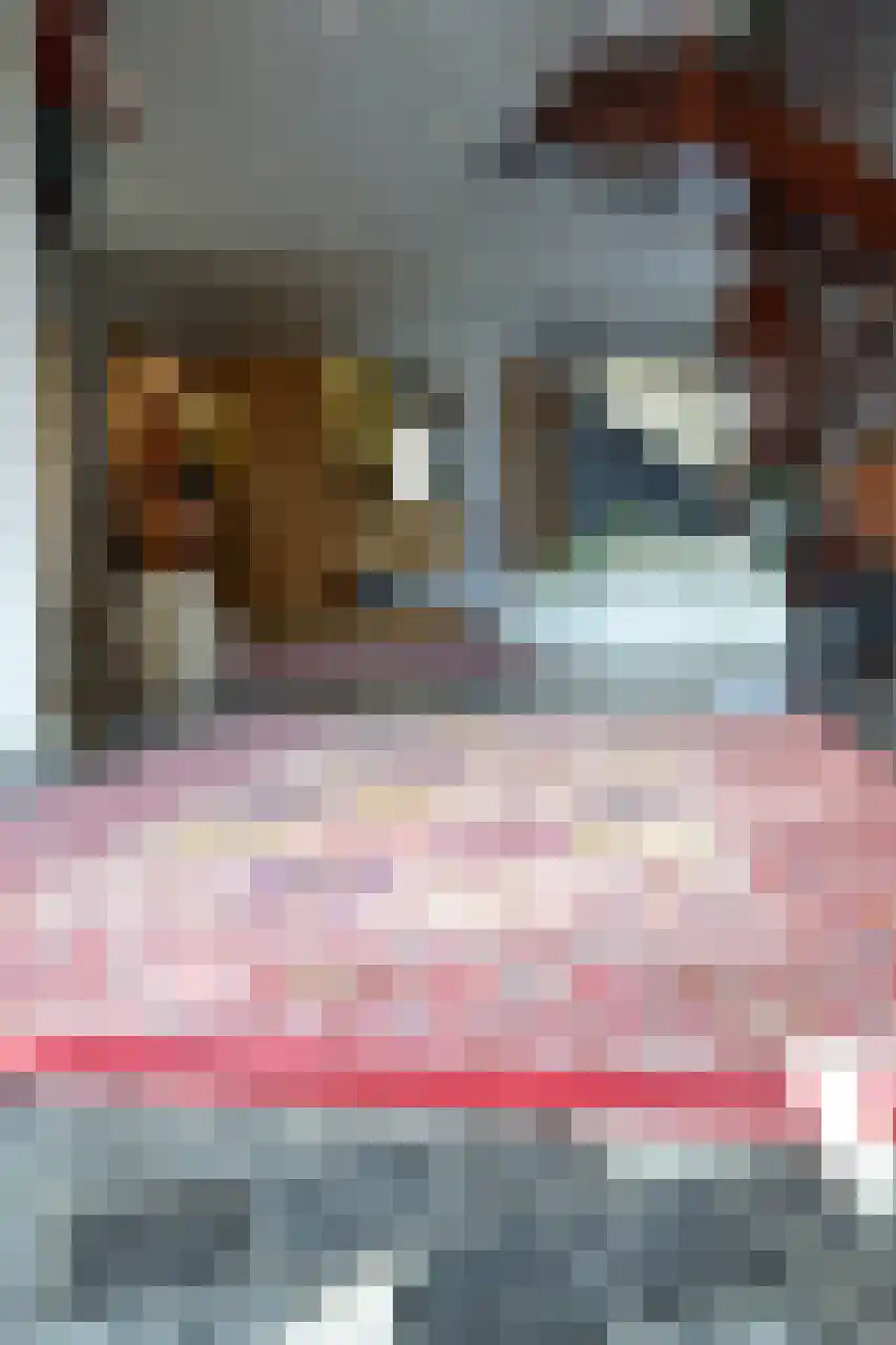 7 Augustusplantsoen 7 Oudewater thumbnail 10