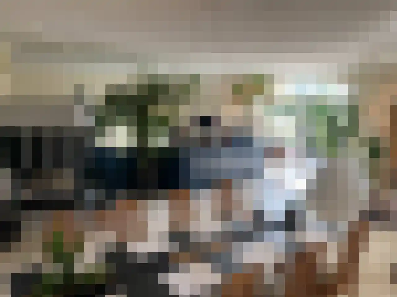 7 Augustusplantsoen 7 Oudewater thumbnail 11